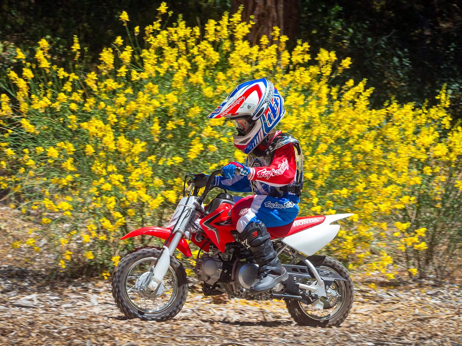 2020 Honda CRF50F: $1,549