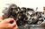perspective of crank case