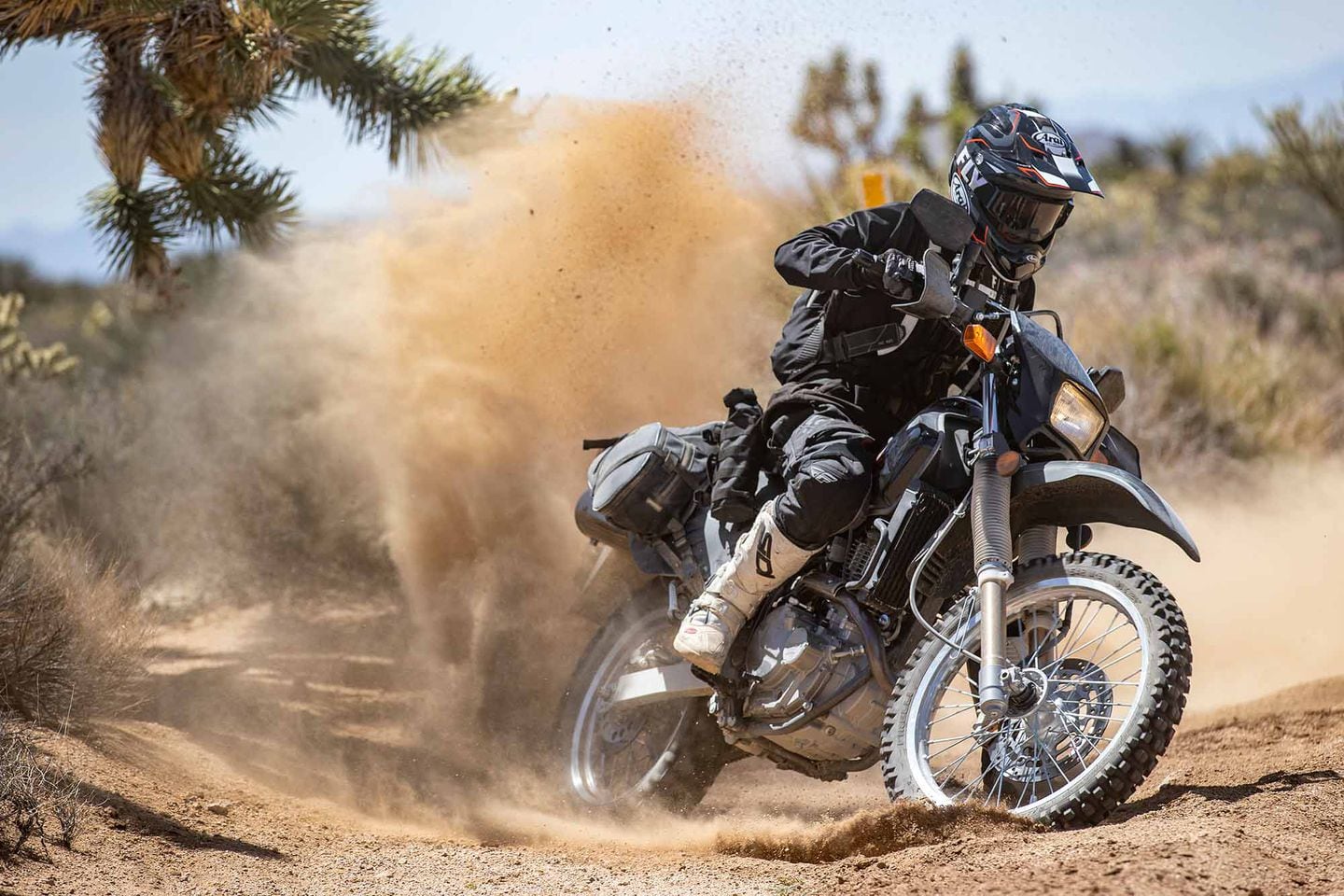 Dual shop sport rides