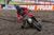 Ryan Sipes' Day at Ironman 2016