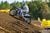 2016 Thor Winter Olympics at Gatorback MX