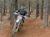 Ryan Sipes