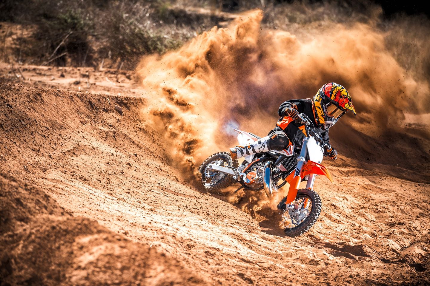 ktm50sx mini 2015年式 2015 KTM 50 SX Mini Review