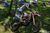 Andrew Short, Ironman Motocross 2016