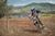 Steward Baylor ISDE Spain 2016
