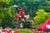 Loretta Lynn's Day 3, motocross racing, 2017 Amateur National Motocross Championship