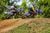 Loretta Lynn's Day 3, motocross racing, 2017 Amateur National Motocross Championship