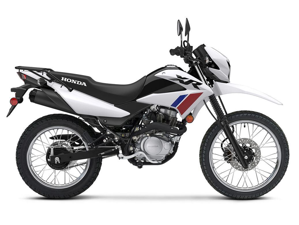 Review: 2002 Honda XR100R - Dirt Rider Magazine | Dirt Rider