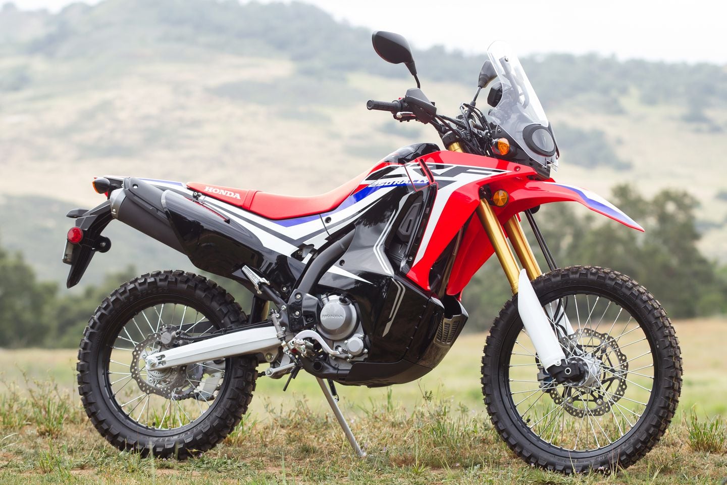 Honda crf 250 rally offers hotsell