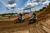 Thomas Covington's Day at WW Ranch USGP 2017