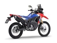 2025 Honda CRF300L Rally estúdio traseiro ângulo perfil lateral direito