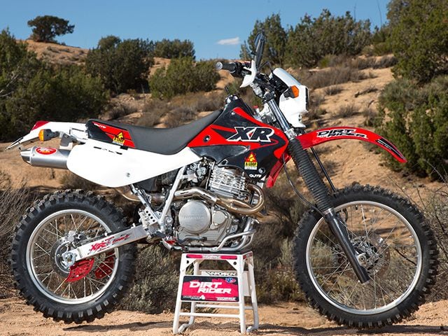 tail tidy for himalayan