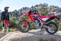Honda sales crf300l 2021