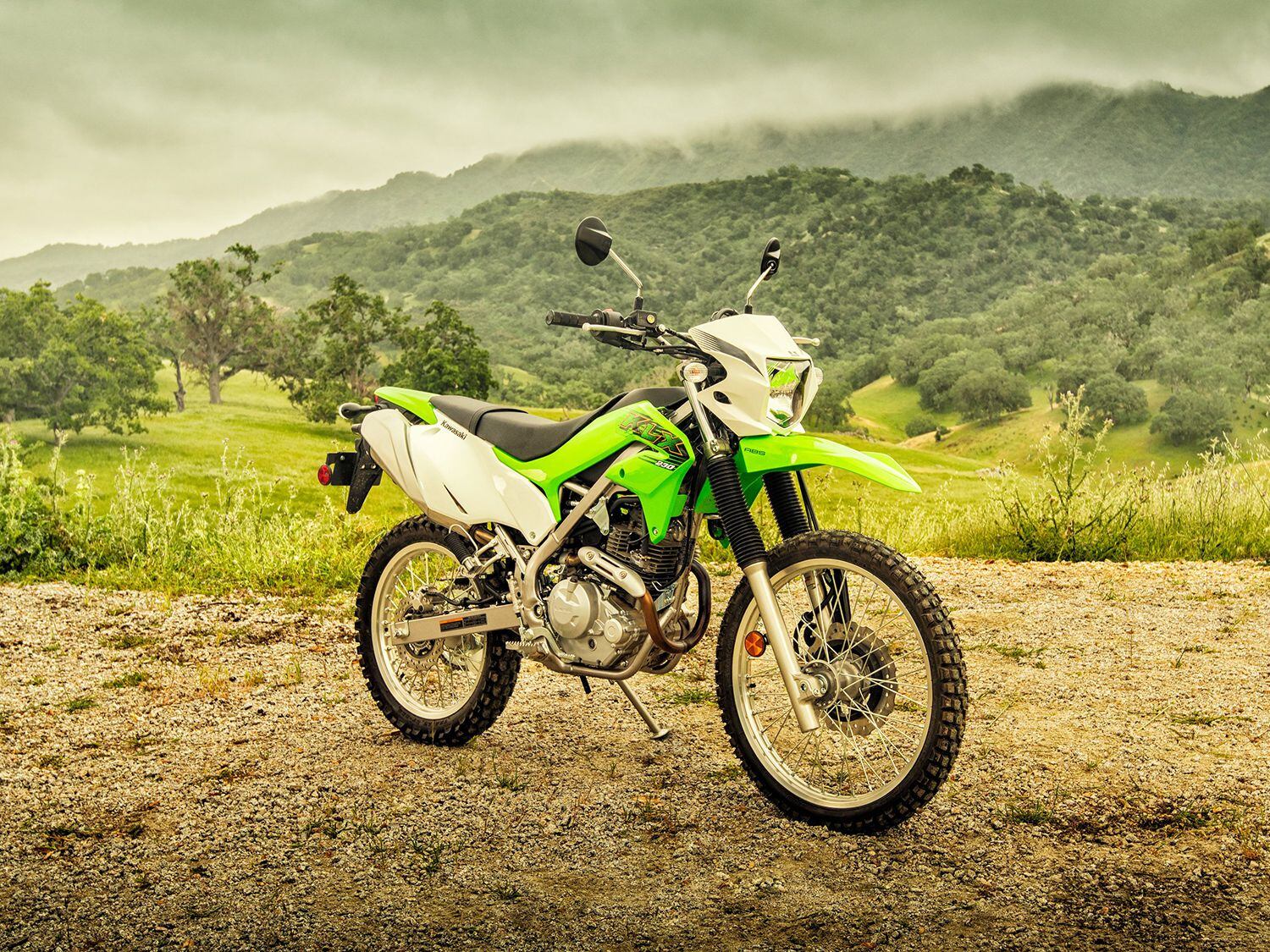 2020 Kawasaki KLX230: $4,899 with ABS, $4,599