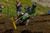 2017 Lucas Oil Pro Motocross Championship Eli Tomac