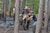 Wild Boar GNCC Layne Michael