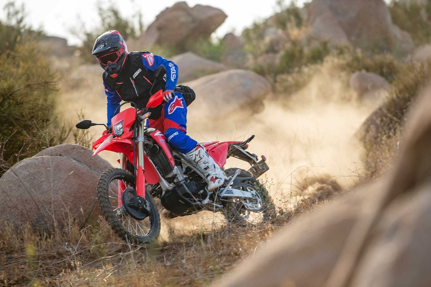 2021 honda 450 dual sport deals