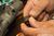 oil on the wrist pin bearing